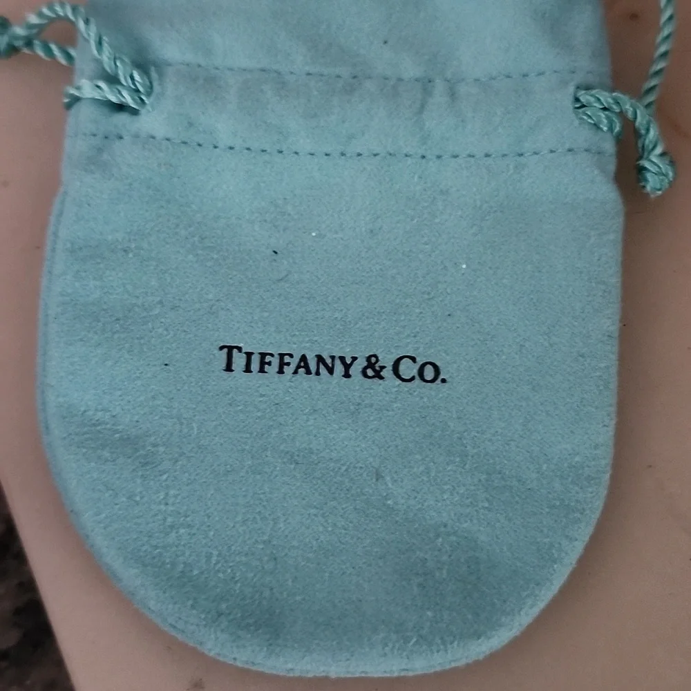 Tiffany & Co. 1837 Sterling Silver Round Pill Trinket Box With Blue Pouch - Picture 2 of 15